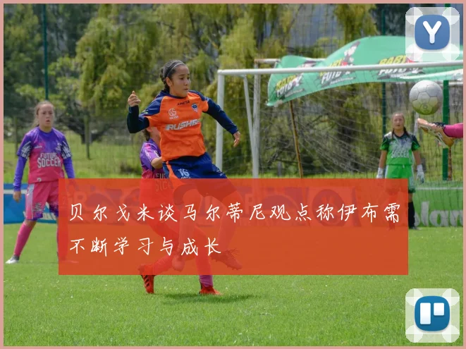 贝尔戈米谈马尔蒂尼观点称伊布需不断学习与成长